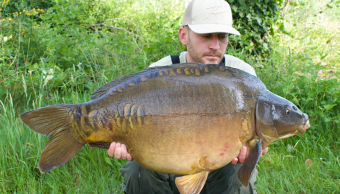 A carp from Golden Carp Lake, May 2022