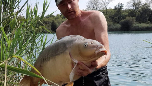 A carp from Golden Carp Lake, Aug 2022