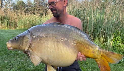 A carp from Golden Carp Lake, May 2022