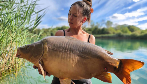 A carp from Golden Carp Lake, Aug 2022