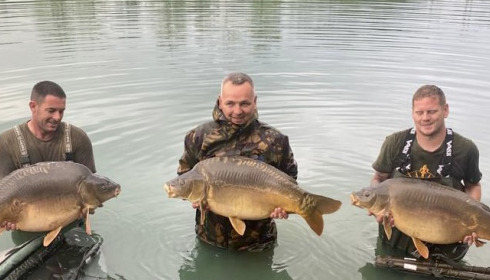 A carp from Golden Carp Lake, Sep 2022
