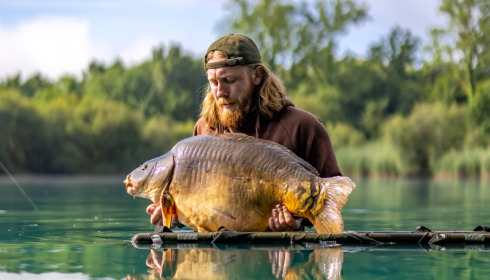 A carp from Golden Carp Lake, Jun 2023