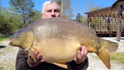 A carp from Golden Carp Lake, Apr 2022