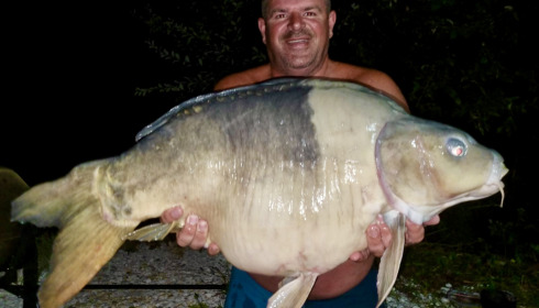 A carp from Golden Carp Lake, Aug 2022