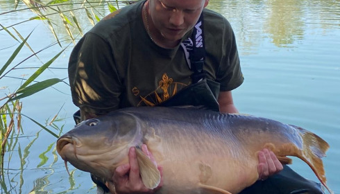 A carp from Golden Carp Lake, Sep 2022