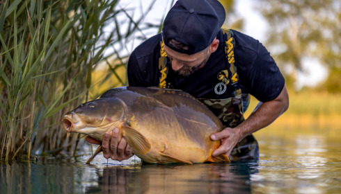 A carp from Golden Carp Lake, Jun 2023