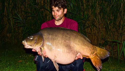 A carp from Golden Carp Lake, Jul 2022
