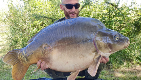 A carp from Golden Carp Lake, May 2022