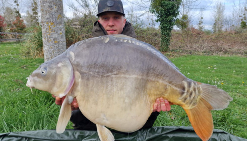 A carp from Golden Carp Lake, Apr 2023