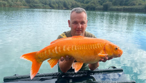 A carp from Golden Carp Lake, Sep 2022