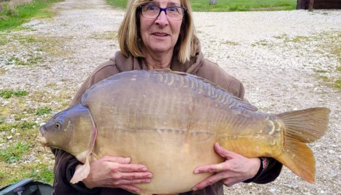 A carp from Golden Carp Lake, Apr 2022