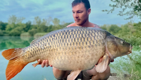 A carp from Golden Carp Lake, Aug 2022