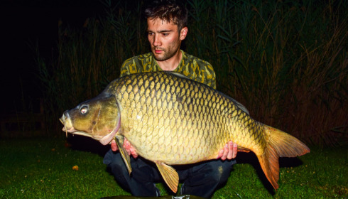 A carp from Golden Carp Lake, Jul 2022