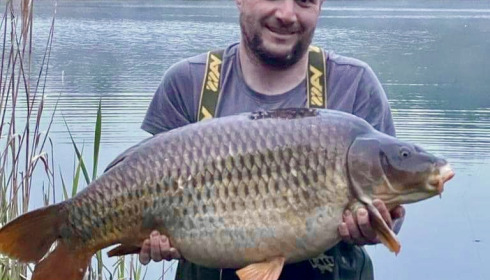 A carp from Golden Carp Lake, May 2022