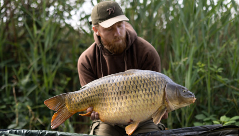 A carp from Golden Carp Lake, Jun 2023