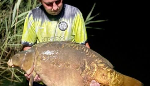 A carp from Golden Carp Lake, Aug 2022