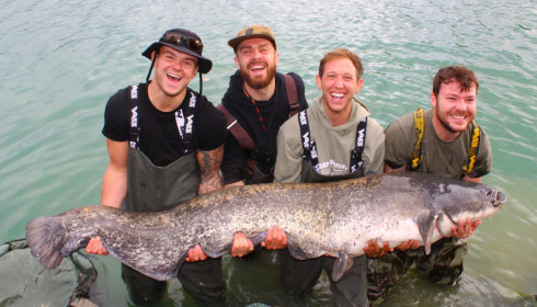 A carp from Golden Carp Lake, Sep 2022