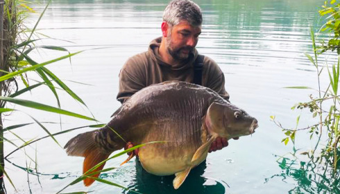 A carp from Golden Carp Lake, Jun 2023