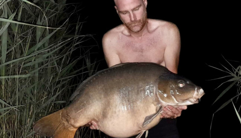 A carp from Golden Carp Lake, Aug 2022
