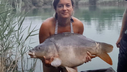 A carp from Golden Carp Lake, Aug 2022