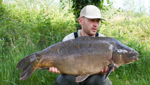 A carp from Golden Carp Lake, May 2022