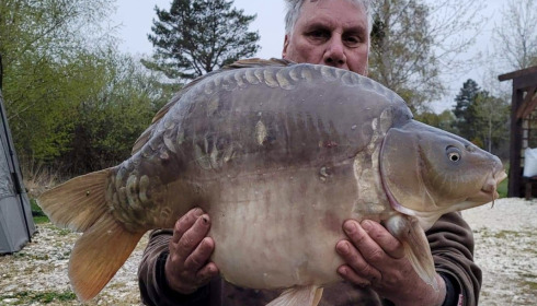 A carp from Golden Carp Lake, Apr 2022
