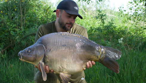 A carp from Golden Carp Lake, May 2022