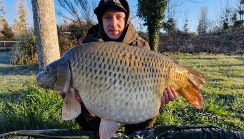 A carp from Golden Carp Lake, Apr 2023