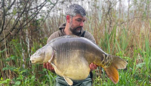 A carp from Golden Carp Lake, Jun 2023