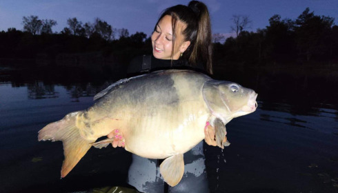 A carp from Golden Carp Lake, Aug 2022