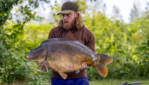A carp from Golden Carp Lake, Jun 2023