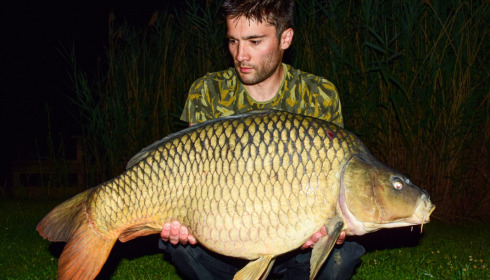 A carp from Golden Carp Lake, Jul 2022