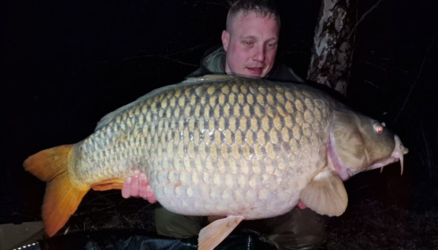 A carp from Golden Carp Lake, Apr 2023