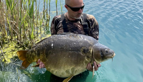 A carp from Golden Carp Lake, May 2022