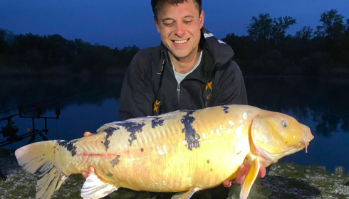 A carp from Golden Carp Lake, May 2023