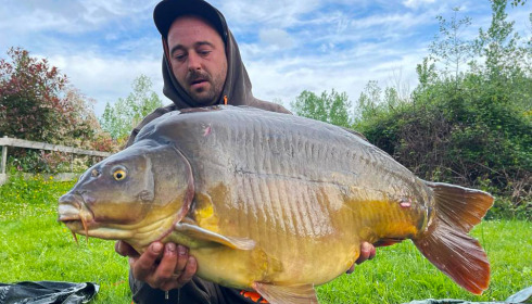 A carp from Golden Carp Lake, May 2023