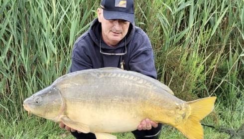 A carp from Golden Carp Lake, Jun 2022