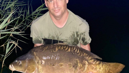 A carp from Golden Carp Lake, Aug 2022
