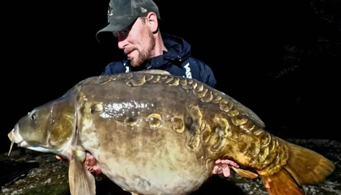 A carp from Golden Carp Lake, Apr 2023
