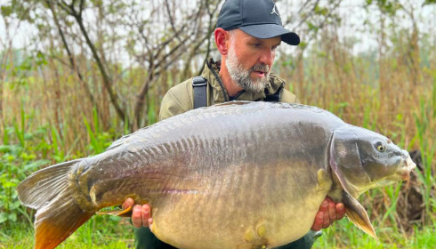 A carp from Golden Carp Lake, Jun 2023