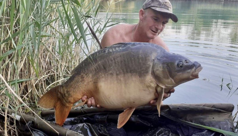 A carp from Golden Carp Lake, Aug 2022