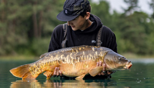 A carp from Golden Carp Lake, Jun 2023