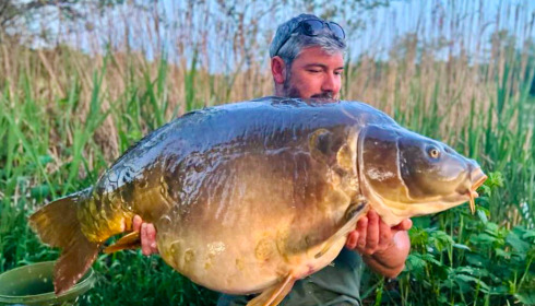 A 67 lb carp from Golden Carp Lake, Jun 2023