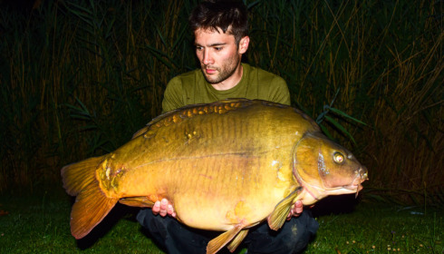 A carp from Golden Carp Lake, Jul 2022