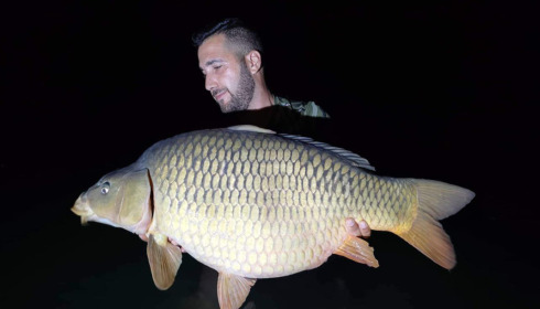 A carp from Golden Carp Lake, Aug 2022