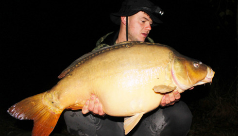 A carp from Golden Carp Lake, Sep 2022