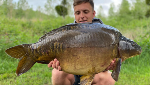 A carp from Golden Carp Lake, May 2022