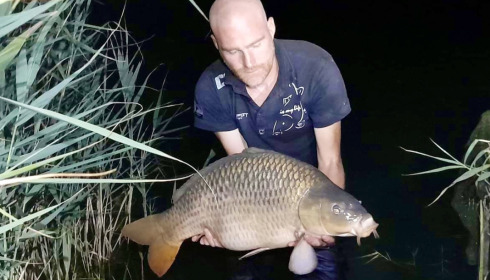 A carp from Golden Carp Lake, Aug 2022