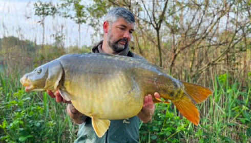 A carp from Golden Carp Lake, Jun 2023