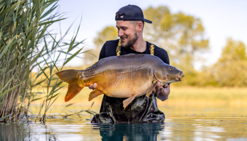 A carp from Golden Carp Lake, Jun 2023